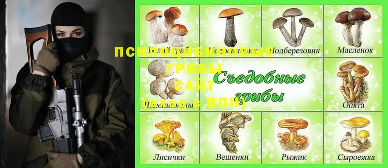 Галлюциногенные грибы Cubensis  Кочубеевское 